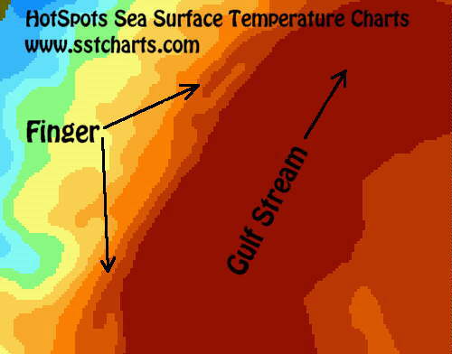 Fishing Water Temperature Chart